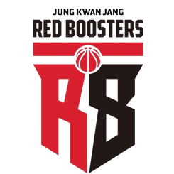 大邱石油公社飞马